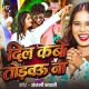 Dil Kabo Todbau Na