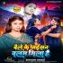 Baile Ke Jaisan Balam Mila Hai